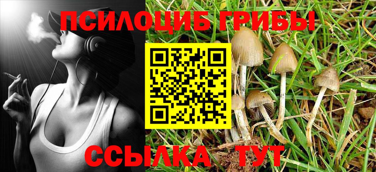 Псилоцибиновые грибы MAGIC MUSHROOMS Строитель