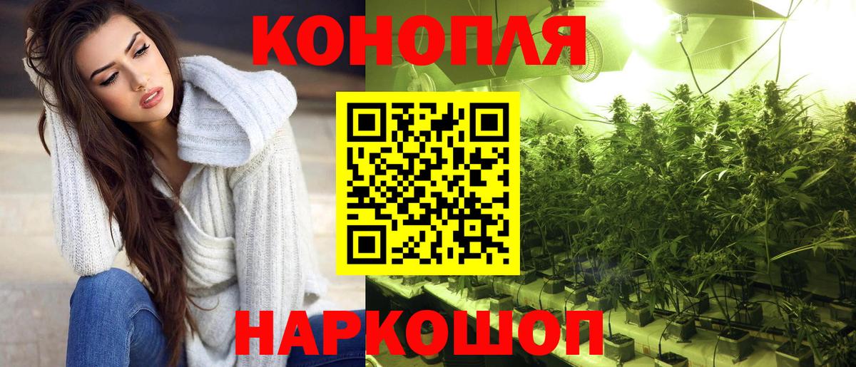 Строитель  Бошки Шишки конопля  Шишки марихуана Amnesia  Конопля THC 21%  Вход с VPN 